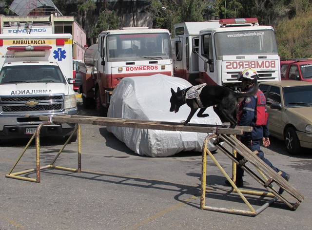 Perro de Bomberos de Miranda recibe certificación de rescate