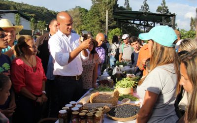 Miranda, un estado exportador