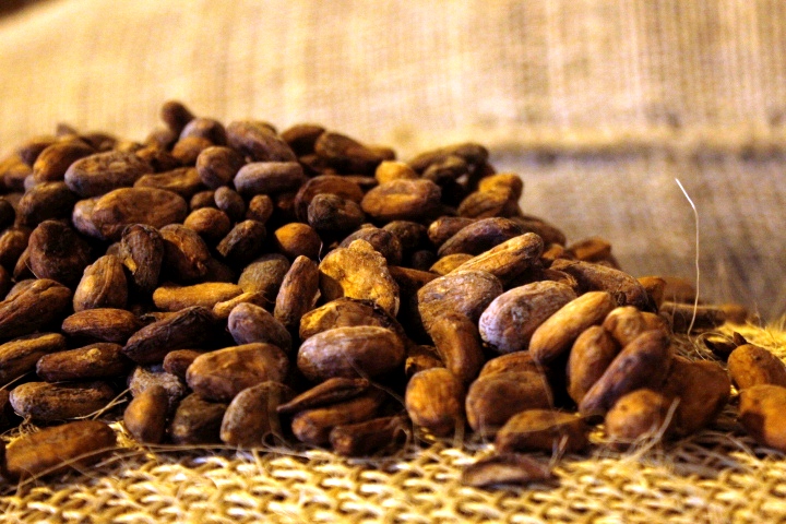Emprendedores chocolateros participarán en la II Expo Feria del Cacao