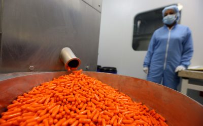 600 empresarios unen sus esfuerzos por el progreso de Miranda