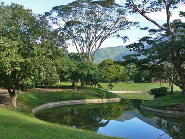 Gobierno de Miranda emprende recuperación del Parque del Este