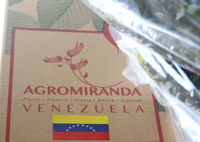 AGROMIRANDA