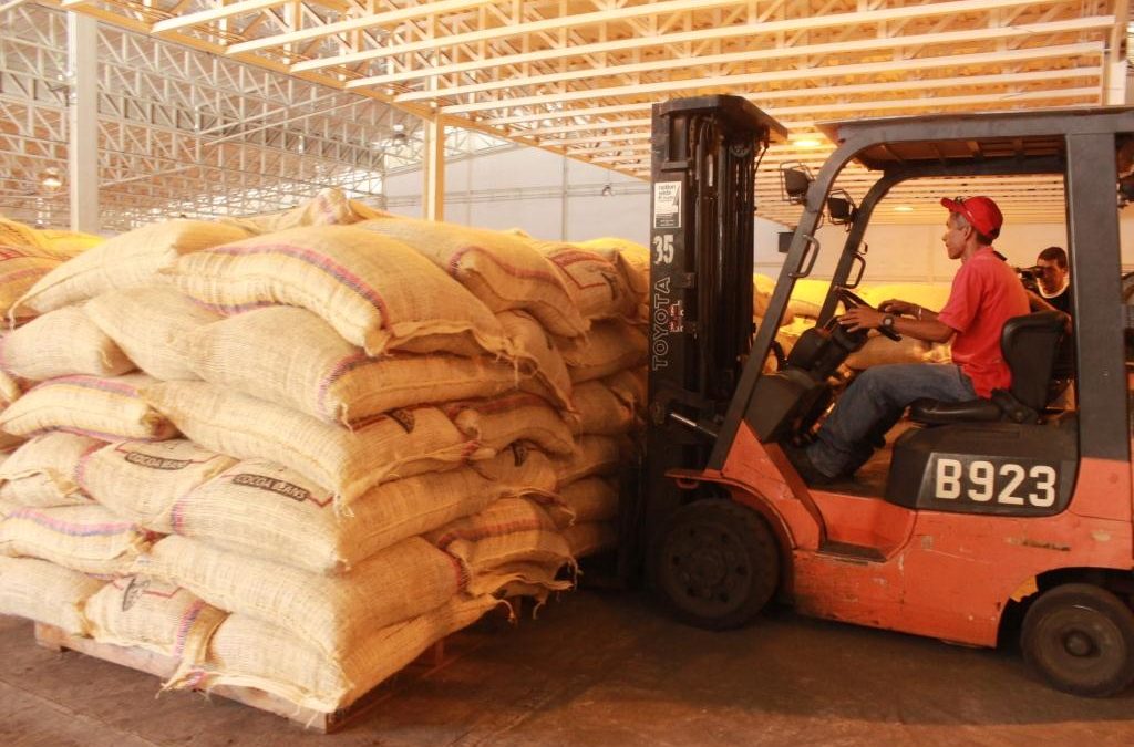 Exportado nuevo lote de 150 toneladas de cacao para Malasia y Estados Unidos