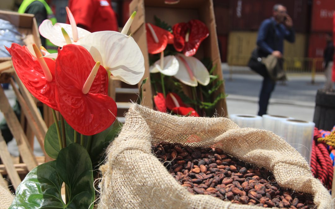 Florece nuestro cacao