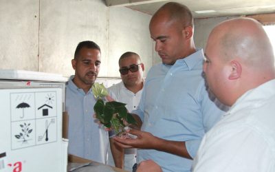 Desarrollan políticas de atención para el sector industrial de Miranda