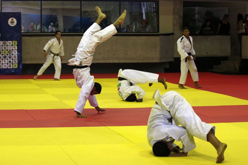 Judo mirandino realizó chequeo estadal