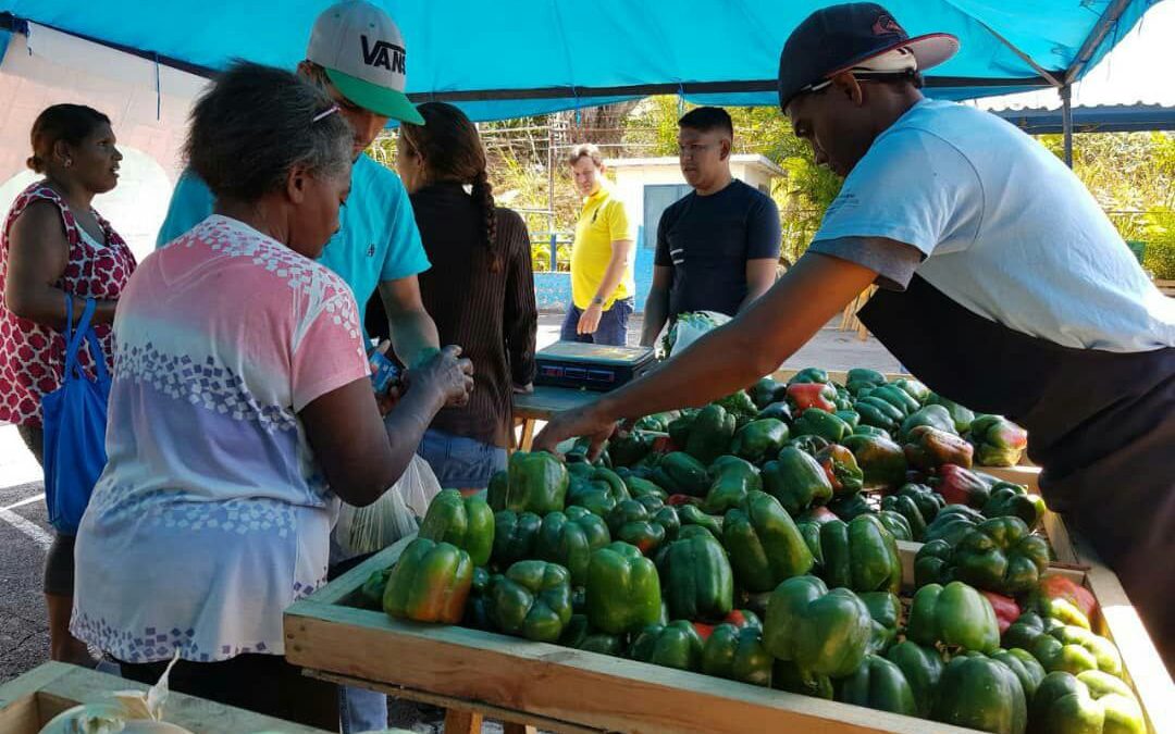 Jornadas de distribución de alimentos favoreció a más de 800 mil familias mirandinas