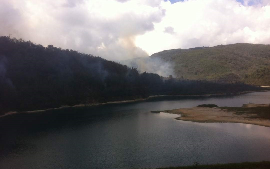Controlado en un 80% incendio forestal en Parque Nacional Macarao