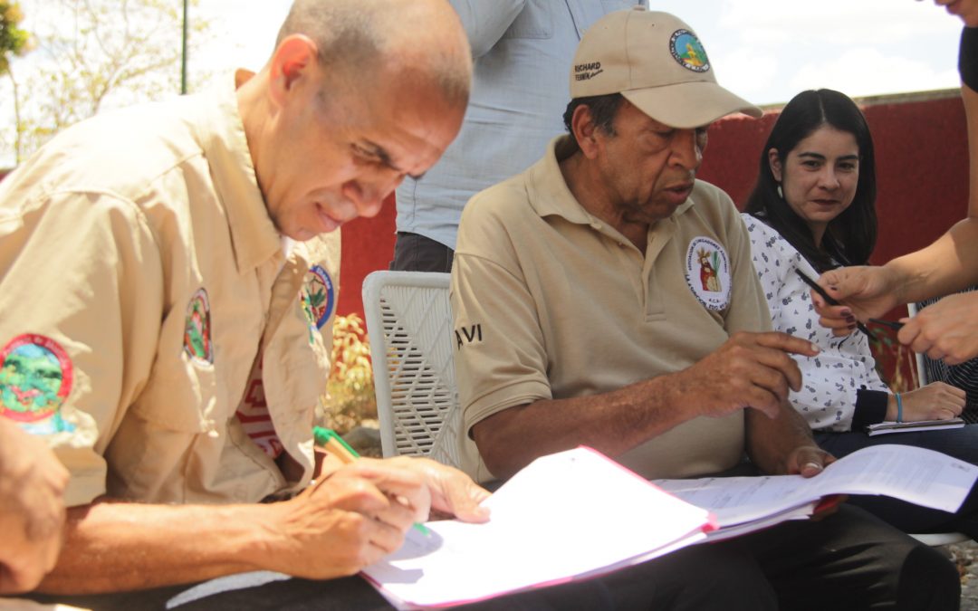 Autorizados Palmeros de Chacao para retirar palmas en el Waraira Repano