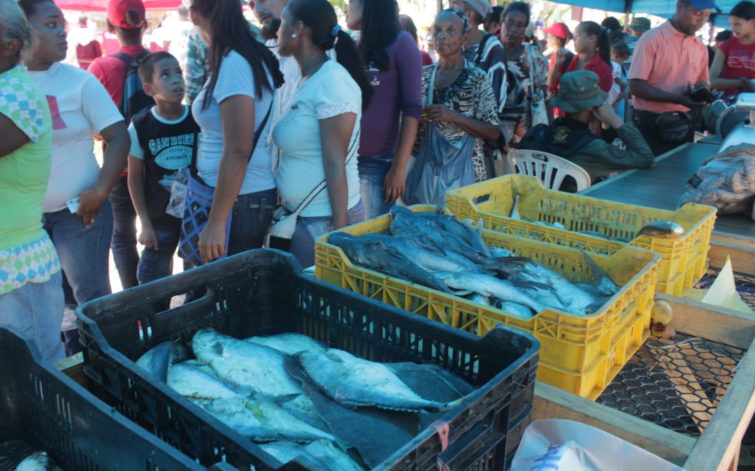 Gobierno regional venderá más de 150 toneladas de pescado al pueblo mirandino