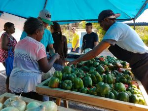 41 toneladas de alimentos han sido distribuidas a las familias mirandinas