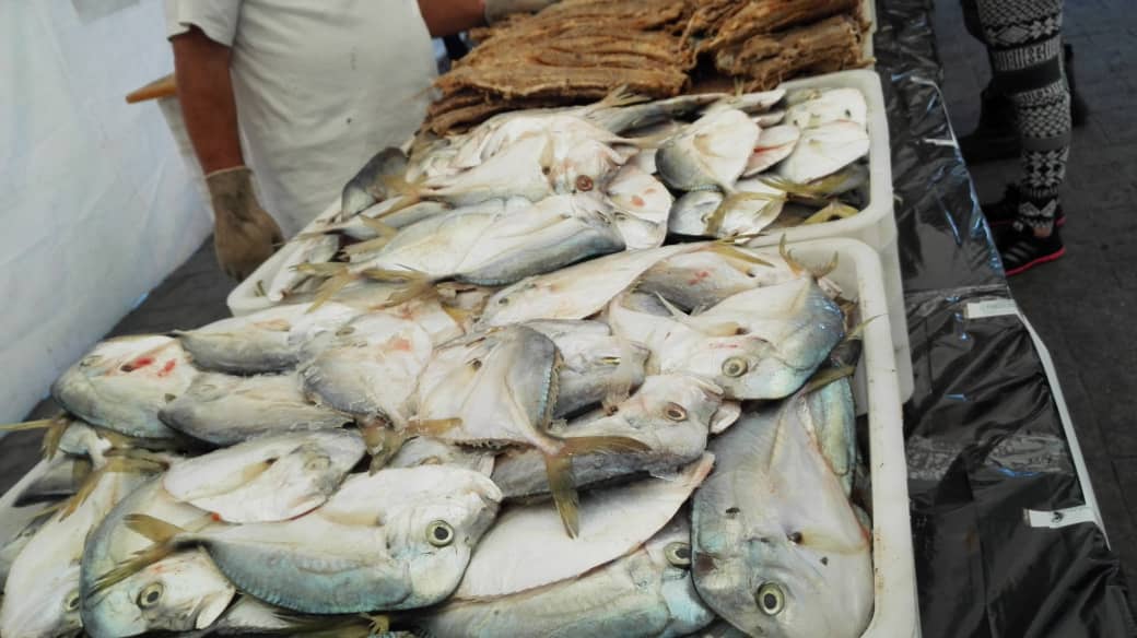 Más de mil familias adquirieron pescado a precios solidarios en Petare