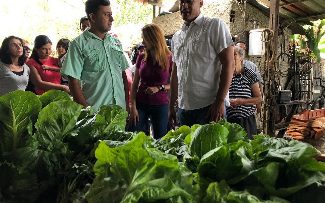 Gobierno mirandino brinda apoyo a emprendimientos agrícolas para el autoabastecimiento