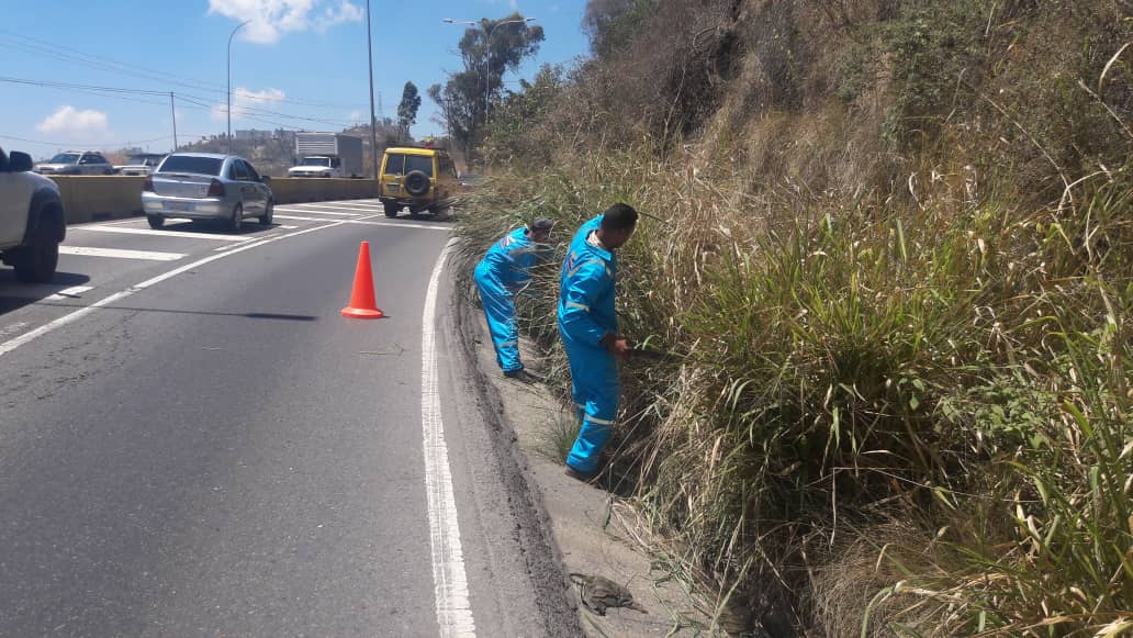 Labores de limpieza y mantenimiento constante evitan colapso de la Panamericana
