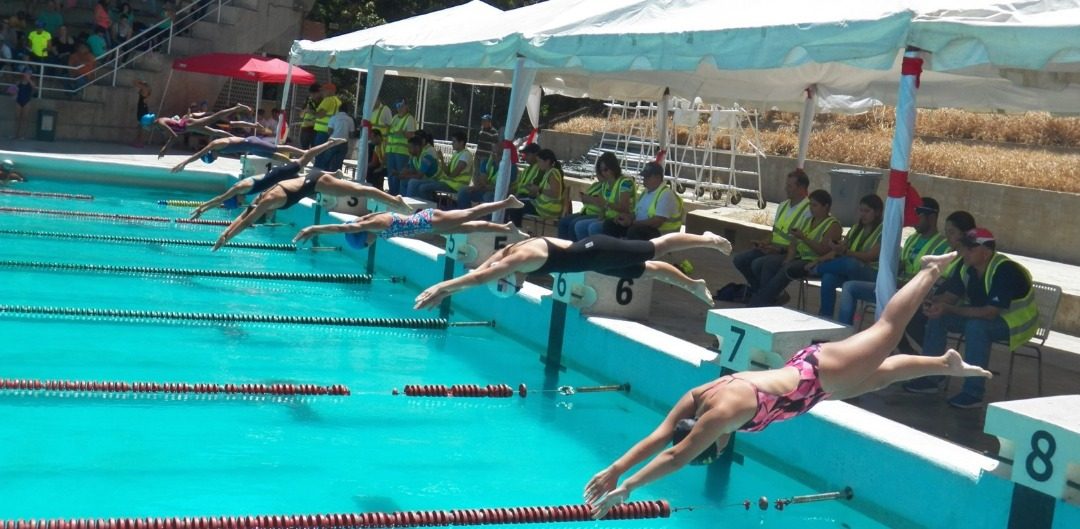 700 nadadores de todo el país participarán en la XV Copa Danny Chocrón