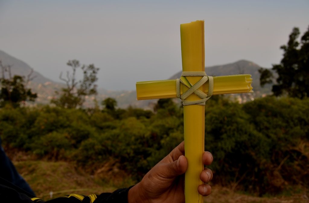 Un triunfo para el país distinción de la Unesco a Palmeros de Venezuela