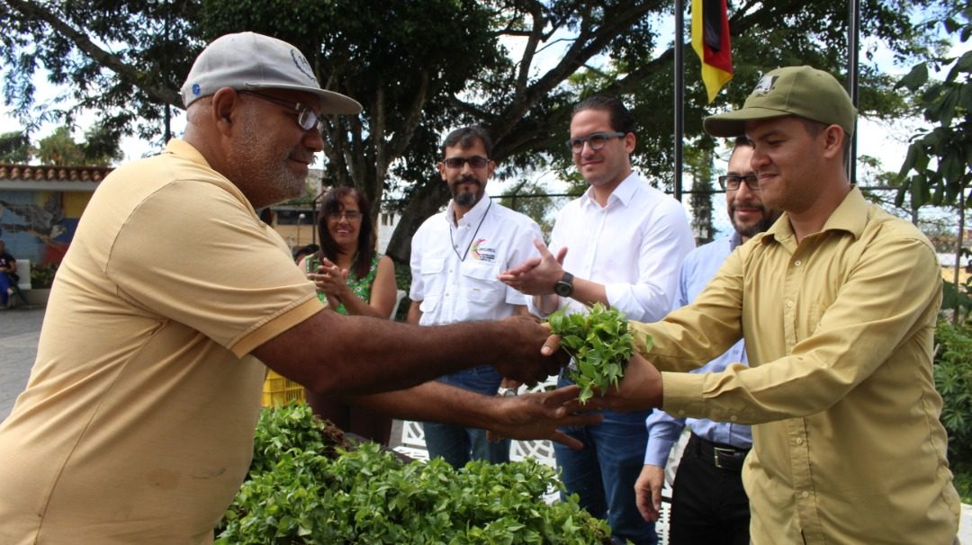 Entregadas más de 40 mil plántulas de ají a productores y emprendedores de Carrizal