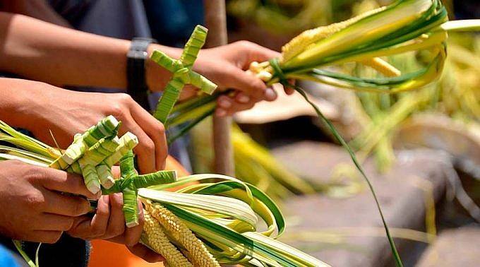 Palmeros de Chacao promueven su tradición en escuelas y liceos