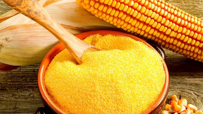 Producirán harina de maíz en Pedro Gual