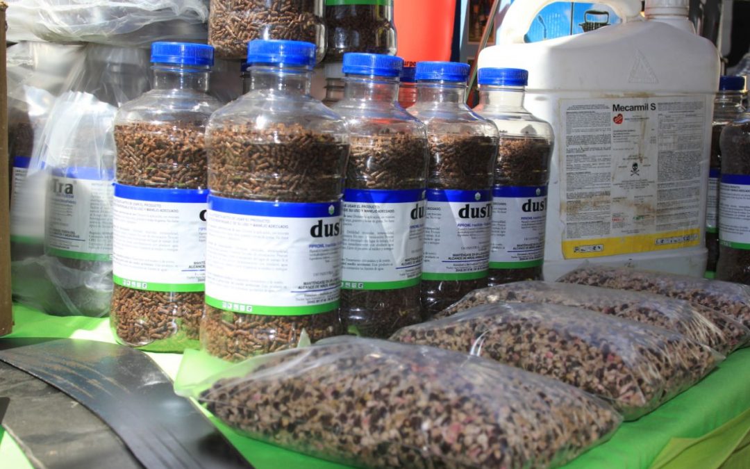 Productores de algodón recibieron insumos y herramientas de trabajo