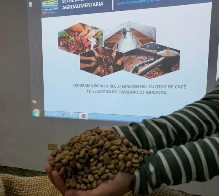 Gobernación promueve la producción de café en la entidad