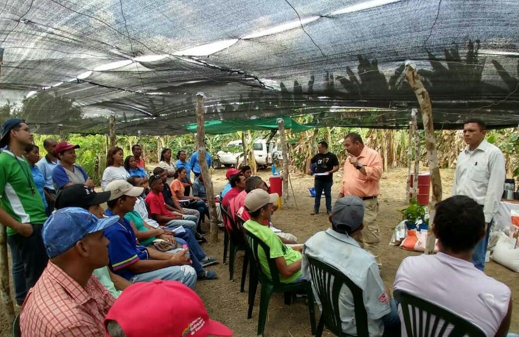 Entregan nuevo lote de semillas de maíz y frijol certificadas a productores de Miranda