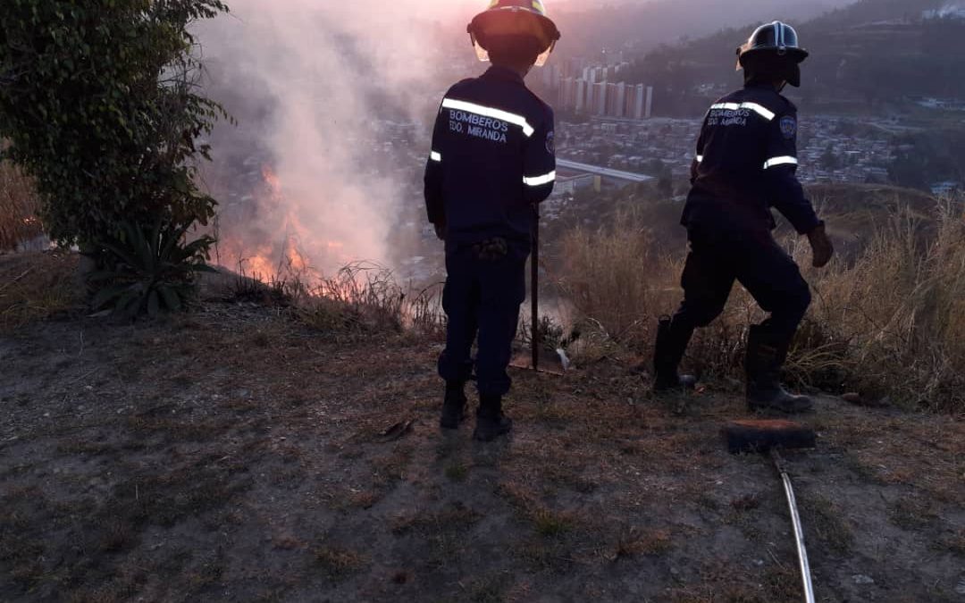 906 incendios en áreas verdes han combatido los Bomberos de Miranda