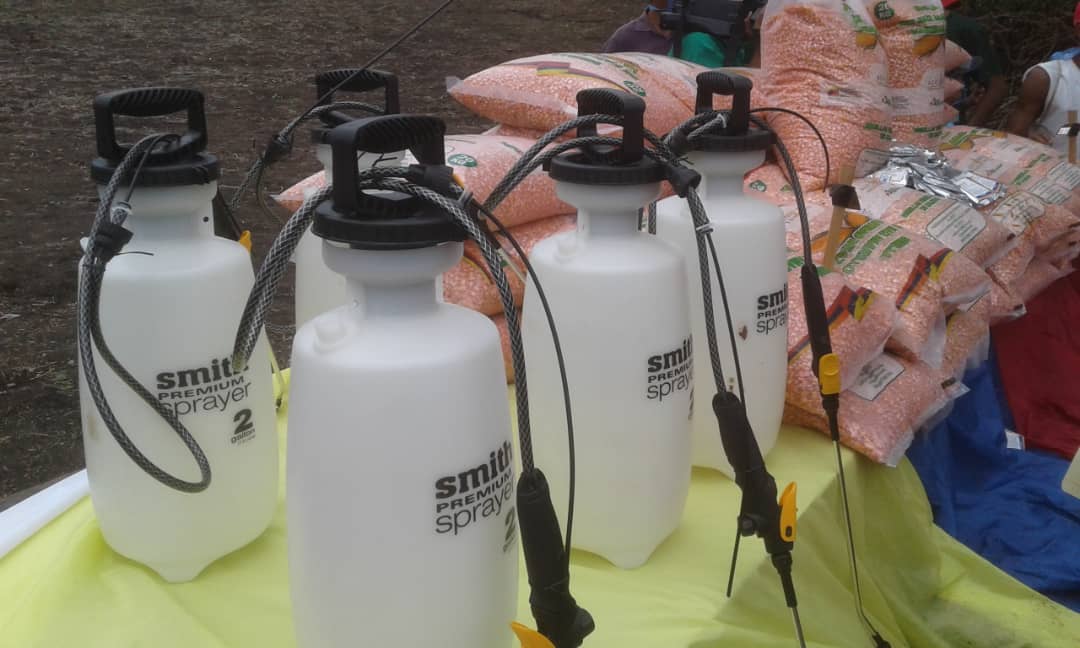 Gobiernos Comunitarios de Zamora asumirán jornadas de desinfección para combatir COVID-19 