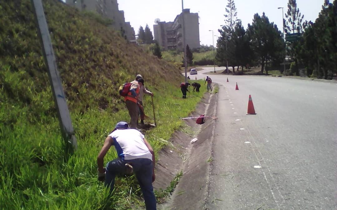 Mantienen labores de limpieza y mantenimiento en la Panamericana