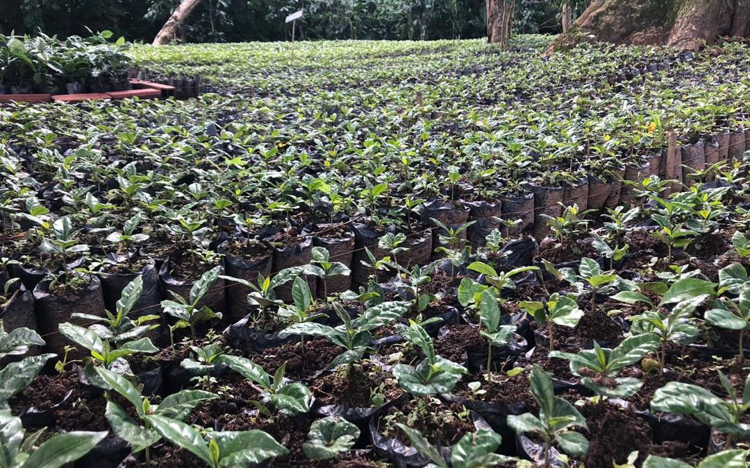 Promueven el desarrollo productivo en comunas del municipio Guaicaipuro