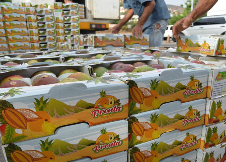 Miranda exporta a Rusia cuatro toneladas de mango