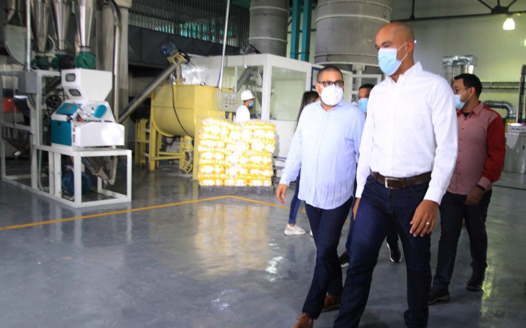 Producirán 400 toneladas mensuales de harina de maíz en Charallave