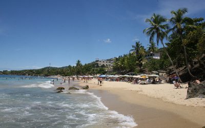 Acreditados prestadores de servicios turísticos de Miranda