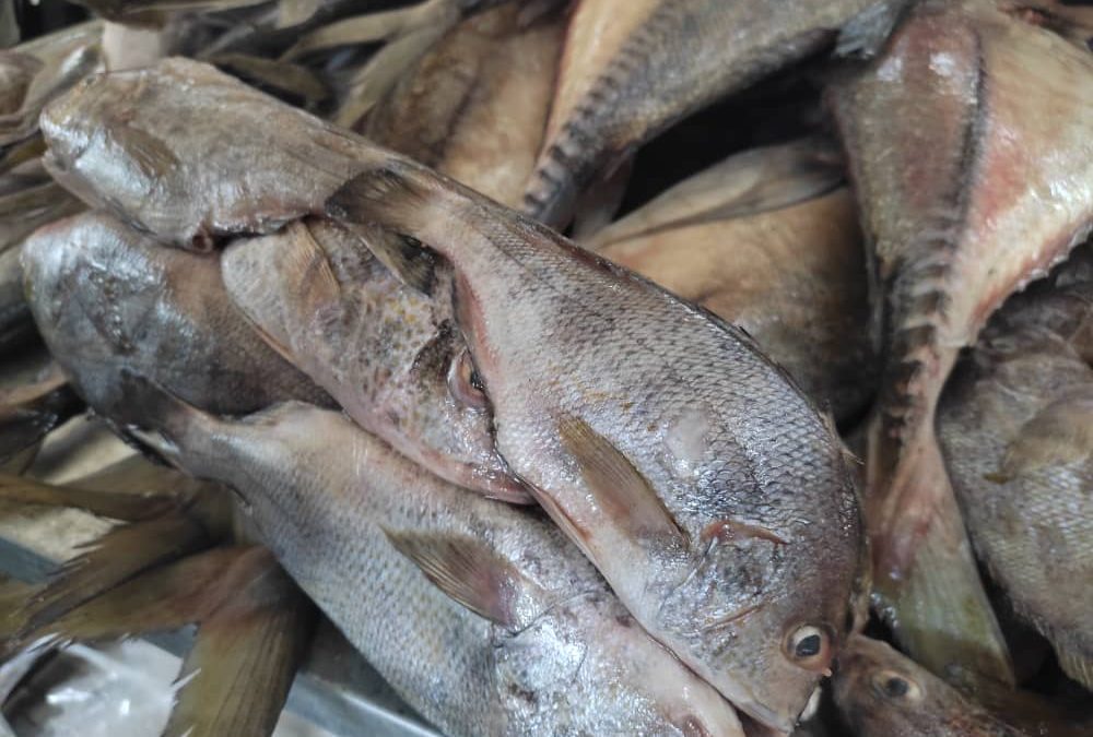 Feria del pescado distribuyó 4 toneladas de alimentos a  familias mirandinas