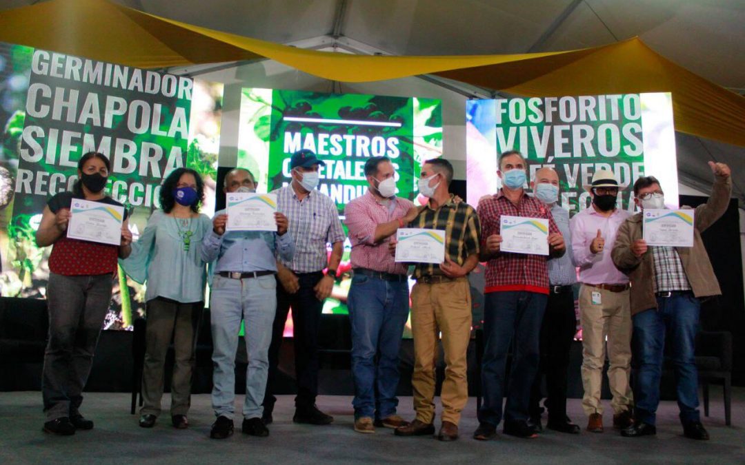 Graduada primera cohorte del diplomado Maestros Cafetaleros en Miranda