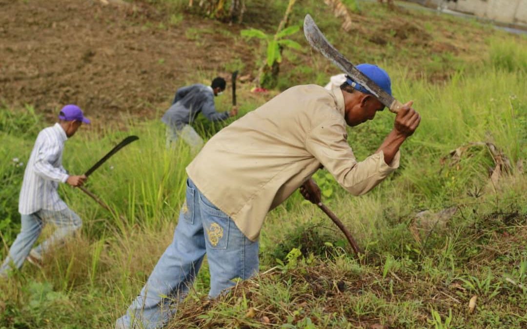 Recuperan vialidad rural El Palmar – La Moka en Paz Castillo