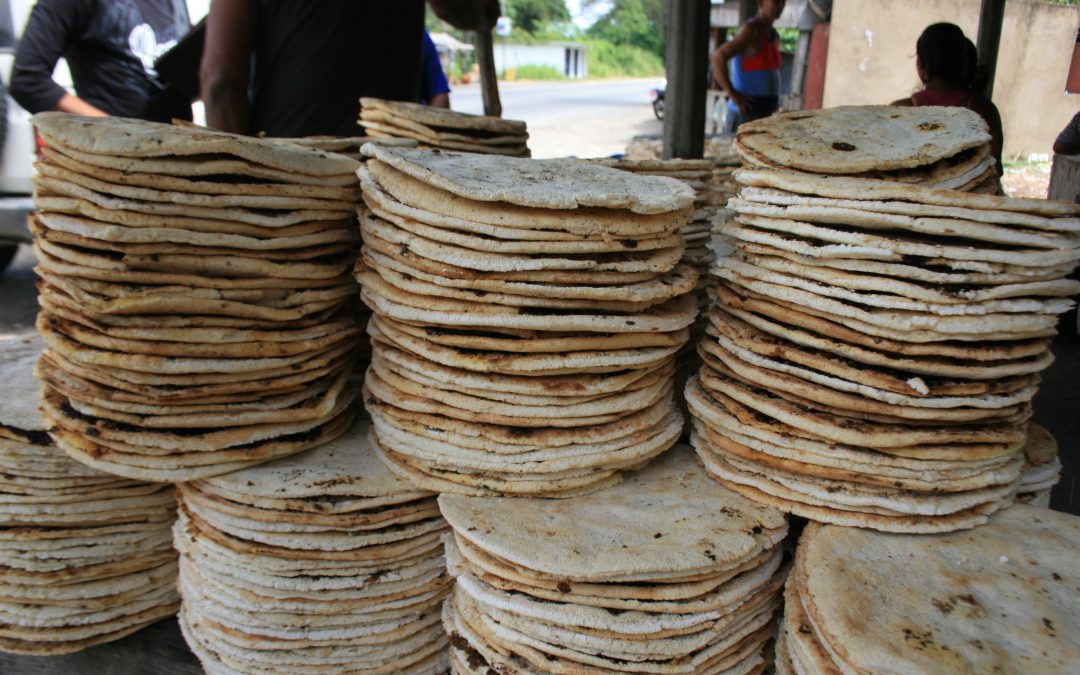 Venezuela busca exaltar el casabe como patrimonio cultural