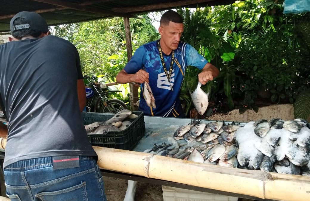 1.200 familias fueron atendidas con jornada de venta de pescado en Guayamural 