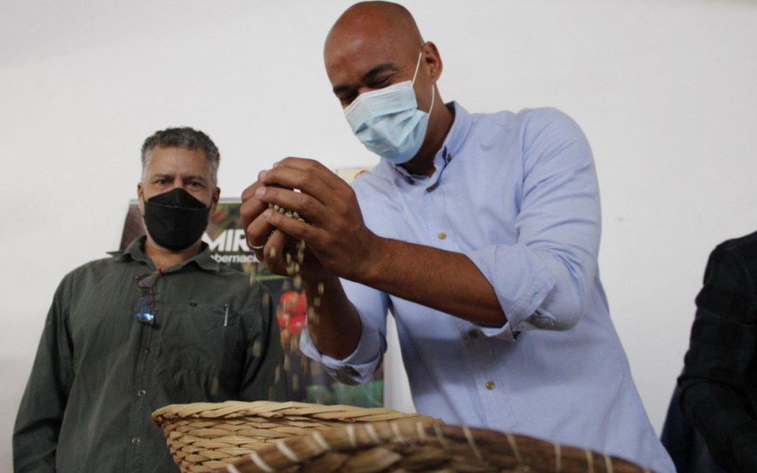 Encuentro internacional de cafés potenciará producción nacional y mirandina