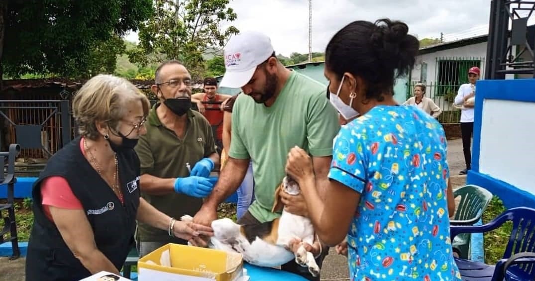 Estos son los puntos de atención veterinaria para este fin de semana en Miranda