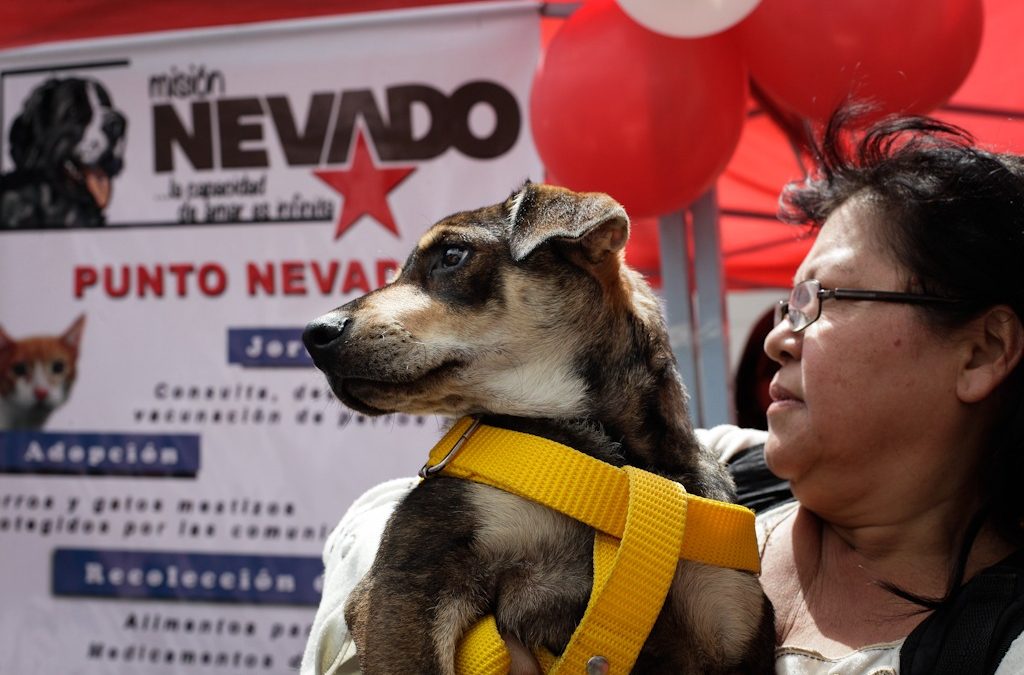 Miranda cierra mes de mayo con jornadas de atención veterinaria