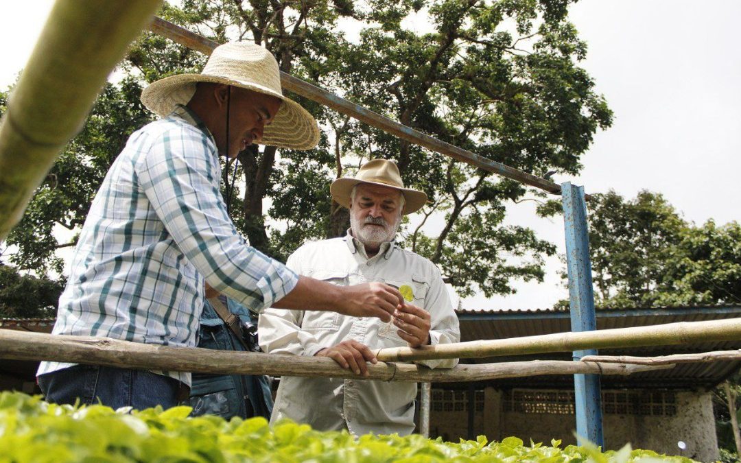Ganadores del encuentro internacional de café proyectan sembrar 200 hectáreas