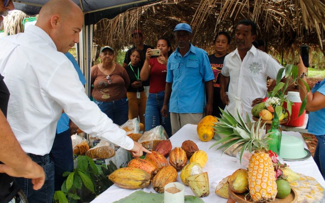 Miranda se prepara para la primera Expoferia Cacao y Ron 2022