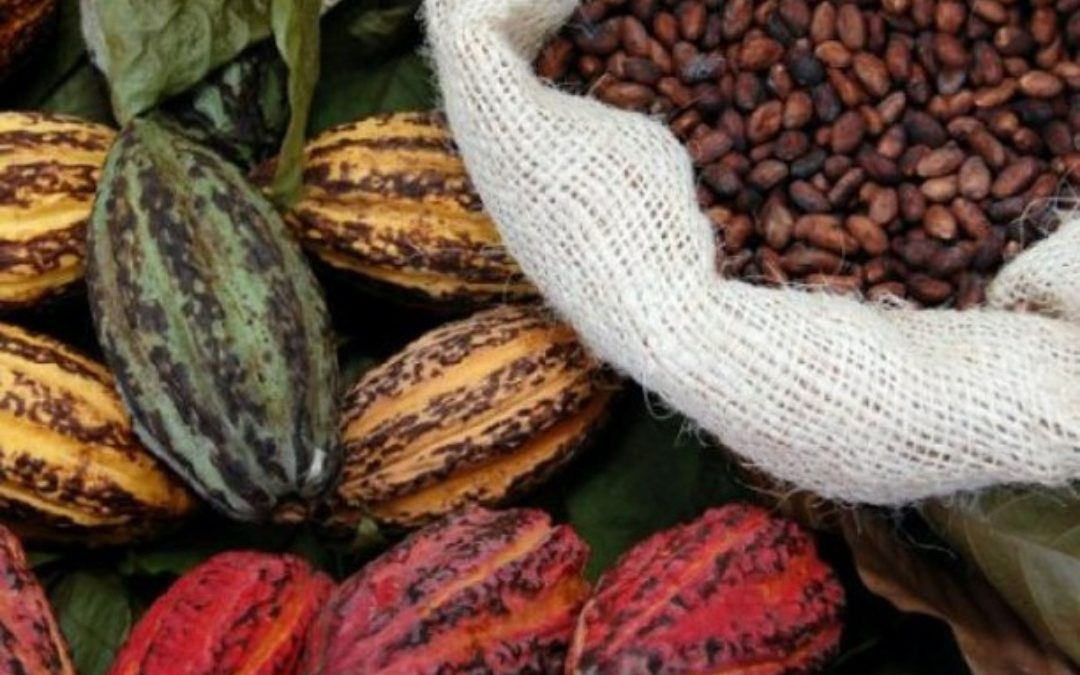 Más de 1.200 productores se han registrado en censo agrícola de Brión