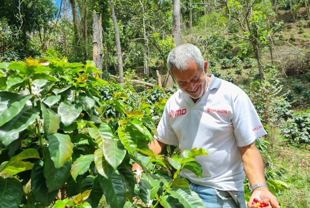 Finca Lajas Pintadas llevó el mejor grano mirandino al  encuentro de cafés y ganó el séptimo puesto