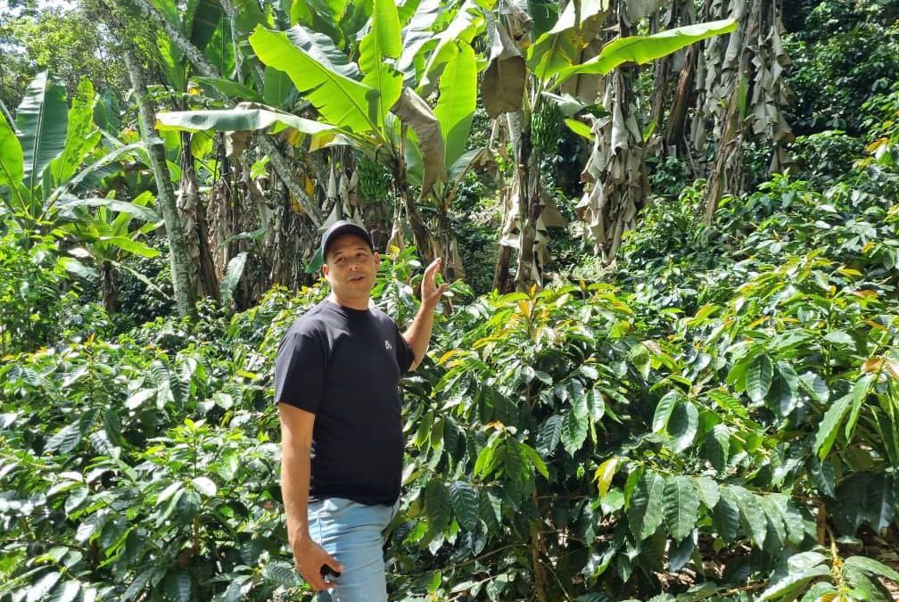 Café La Peñita obtuvo cuarto lugar como el mejor café hecho en Miranda