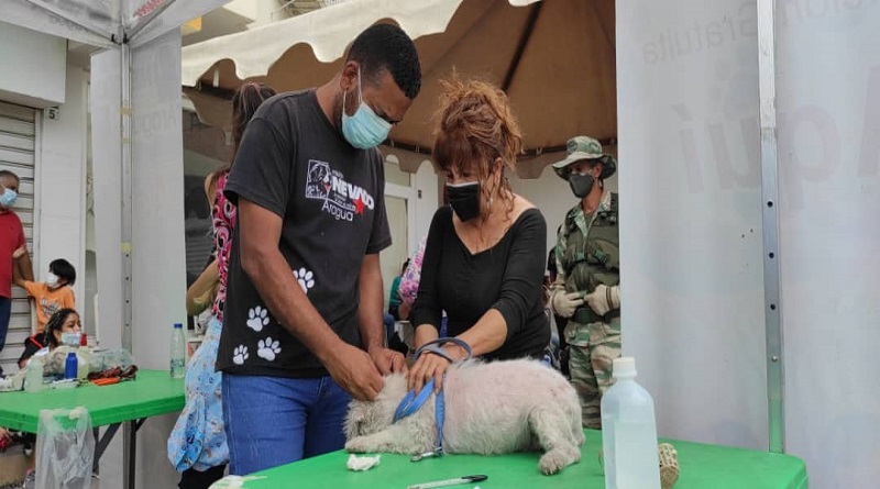 Miranda garantiza atención veterinaria en sus 21 municipios