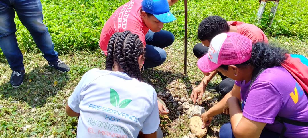 Siembran más de 250 árboles en comunidades mirandinas