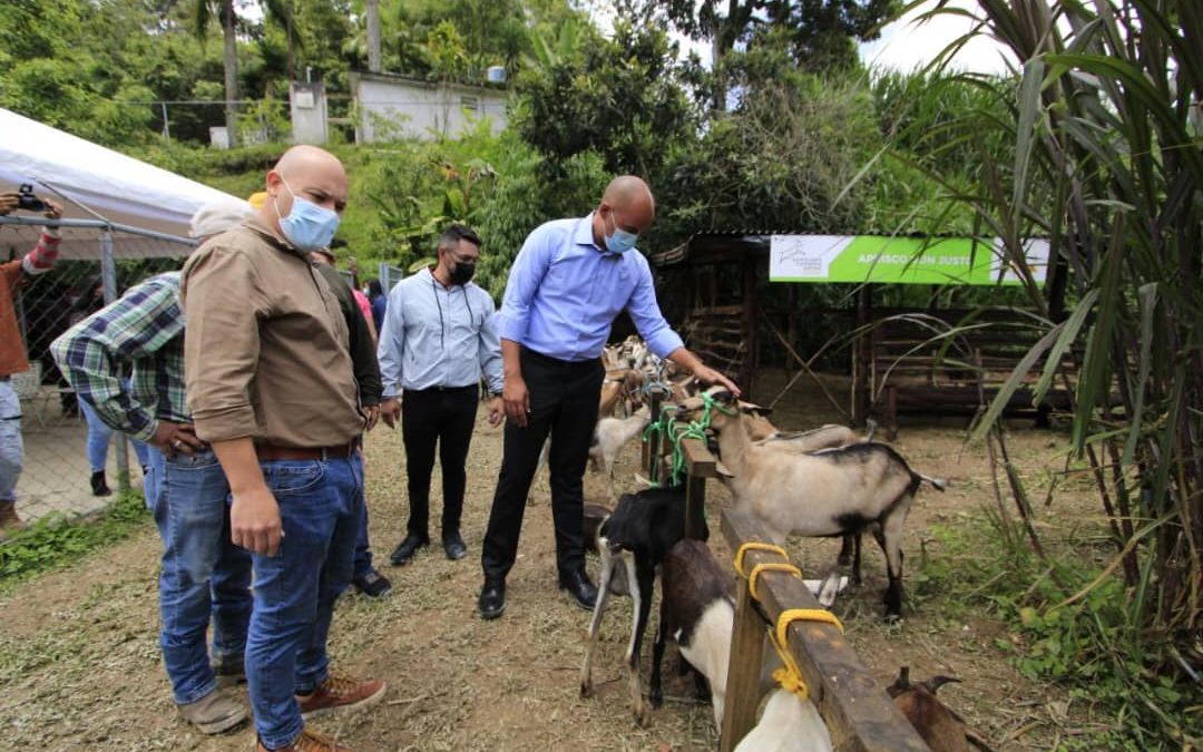 Inicia entrega de animales acordados en Expoferia Caprina y Ovina de Miranda