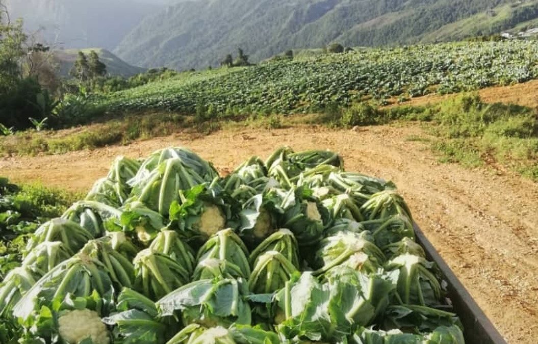 Instaladas Mesas Agroalimentarias en Miranda